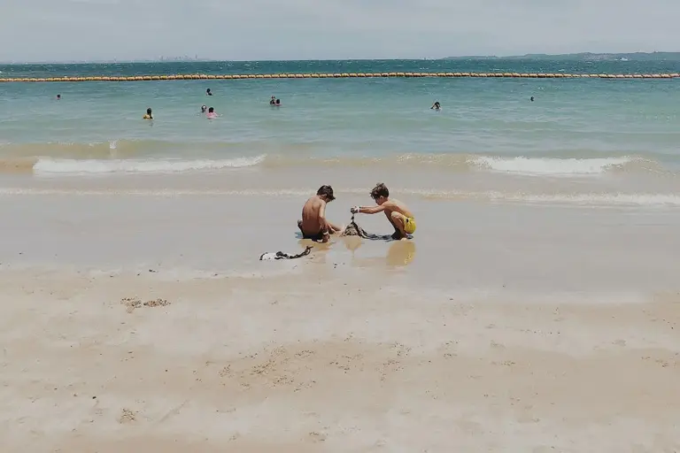 Barn som leker på en sandstrand